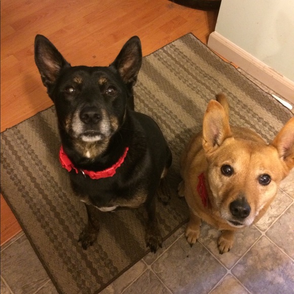 Meet your Posher, Kiersten - Picture 4 of 11